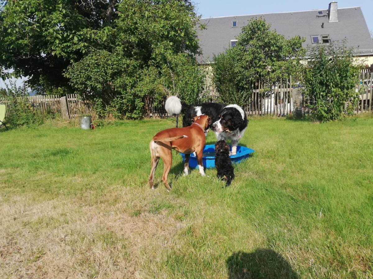 Urlaub mit Hund - Ferienhof Höhensonne Rathmannsdorf Exterior foto
