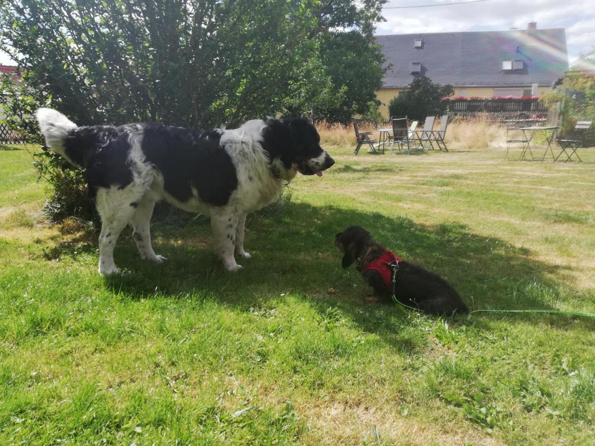 Urlaub mit Hund - Ferienhof Höhensonne Rathmannsdorf Exterior foto