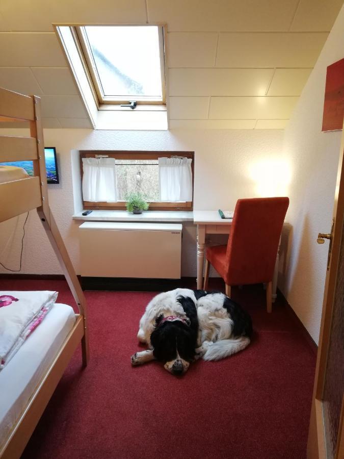 Urlaub mit Hund - Ferienhof Höhensonne Rathmannsdorf Exterior foto